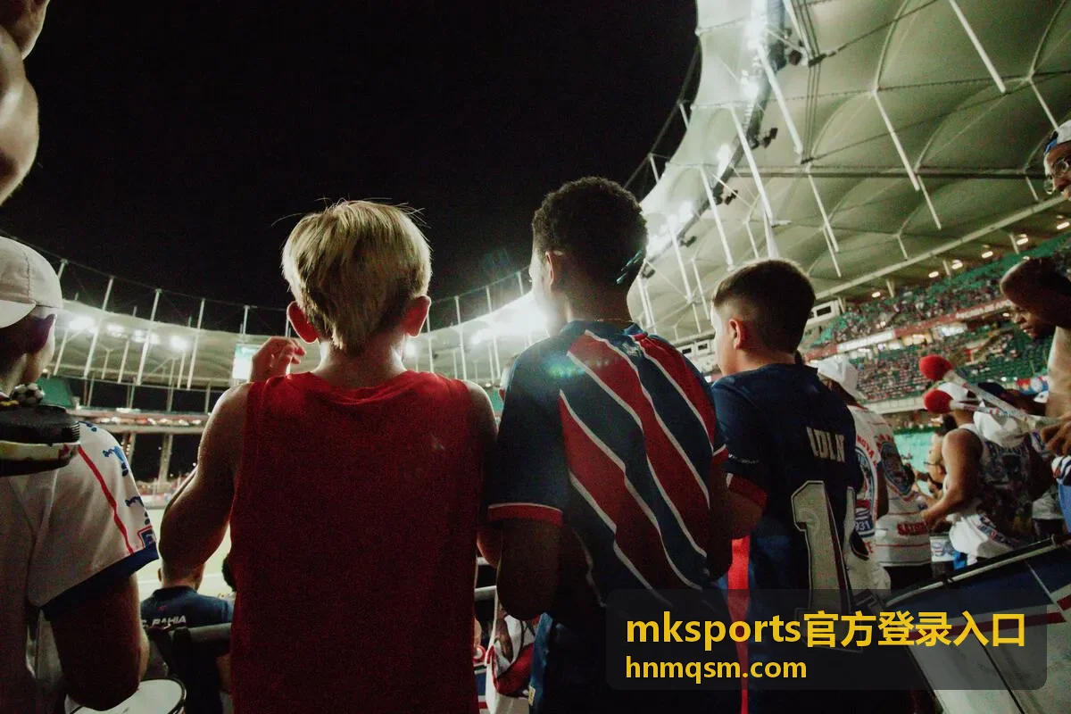 mksports官方登录入口首次登录的准备步骤展示