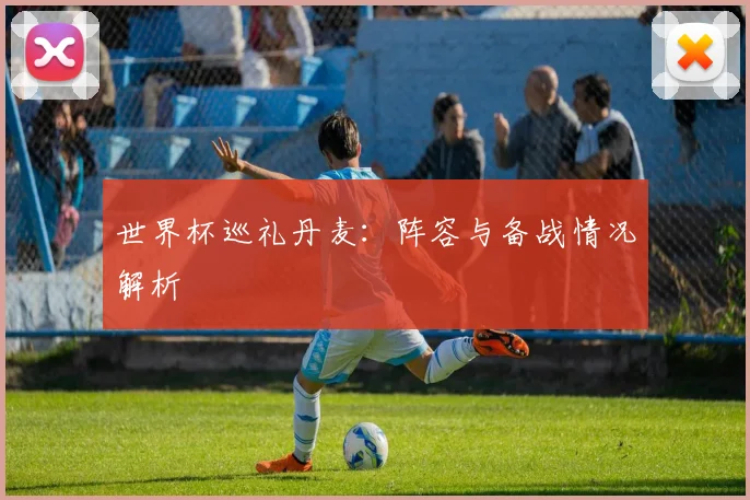 世界杯巡礼丹麦:阵容与备战情况解析