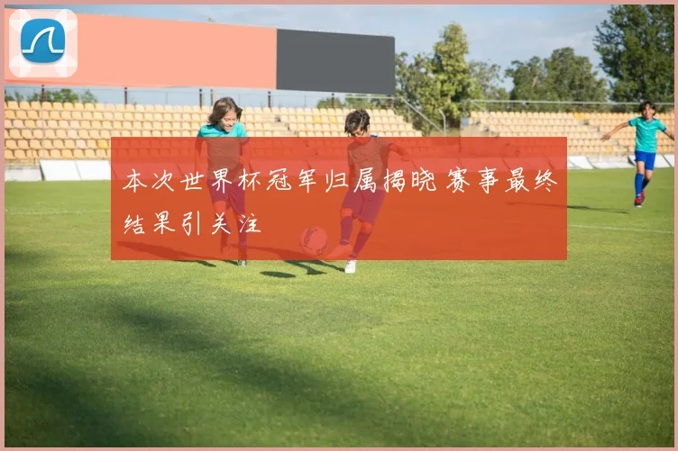 本次世界杯冠军归属揭晓 赛事最终结果引关注