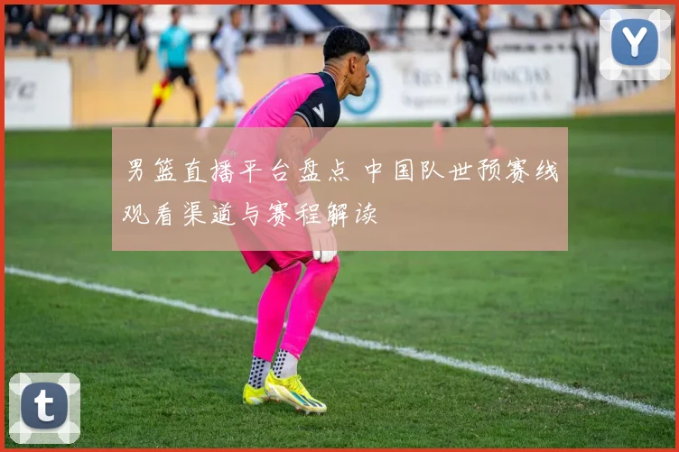 男篮直播平台盘点 中国队世预赛线观看渠道与赛程解读