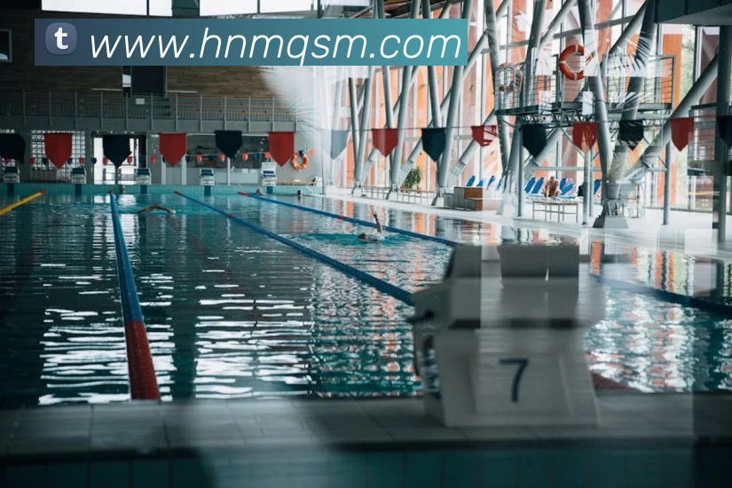 hth华体官网登录入口发展历程